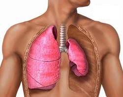 Khó thở là dấu hiệu bệnh lao kê, hen phế quản và phù phổi cấp